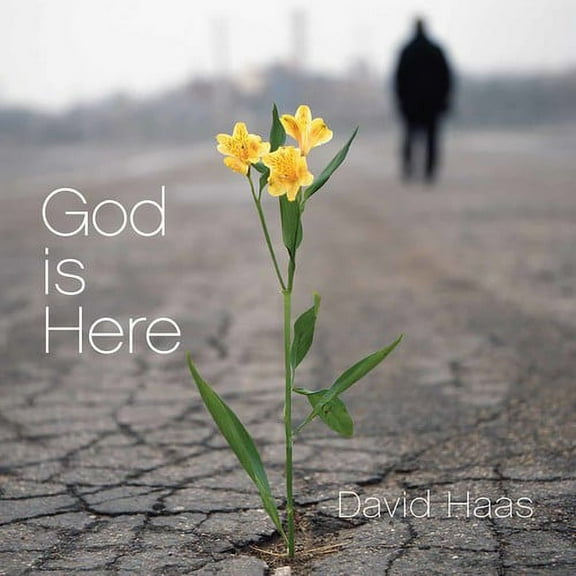 David Haas - God Is Here - Special Interest - CD