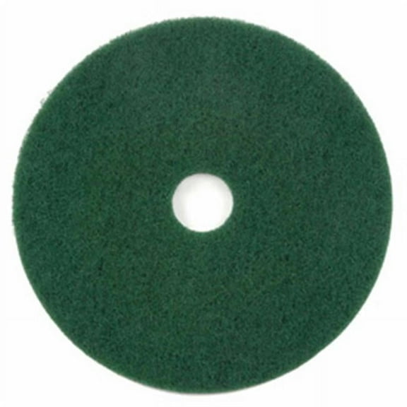 20 in. Scrubbing Pad, Green - Case of 5