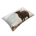 thumbnail image 3 of Naloa Yak Pillowcase, Throw Pillowcase, Wrinkle-Free, Stain-Resistant with Hidden Zipper for Bedroom Sofa - 14"x20", 3 of 9