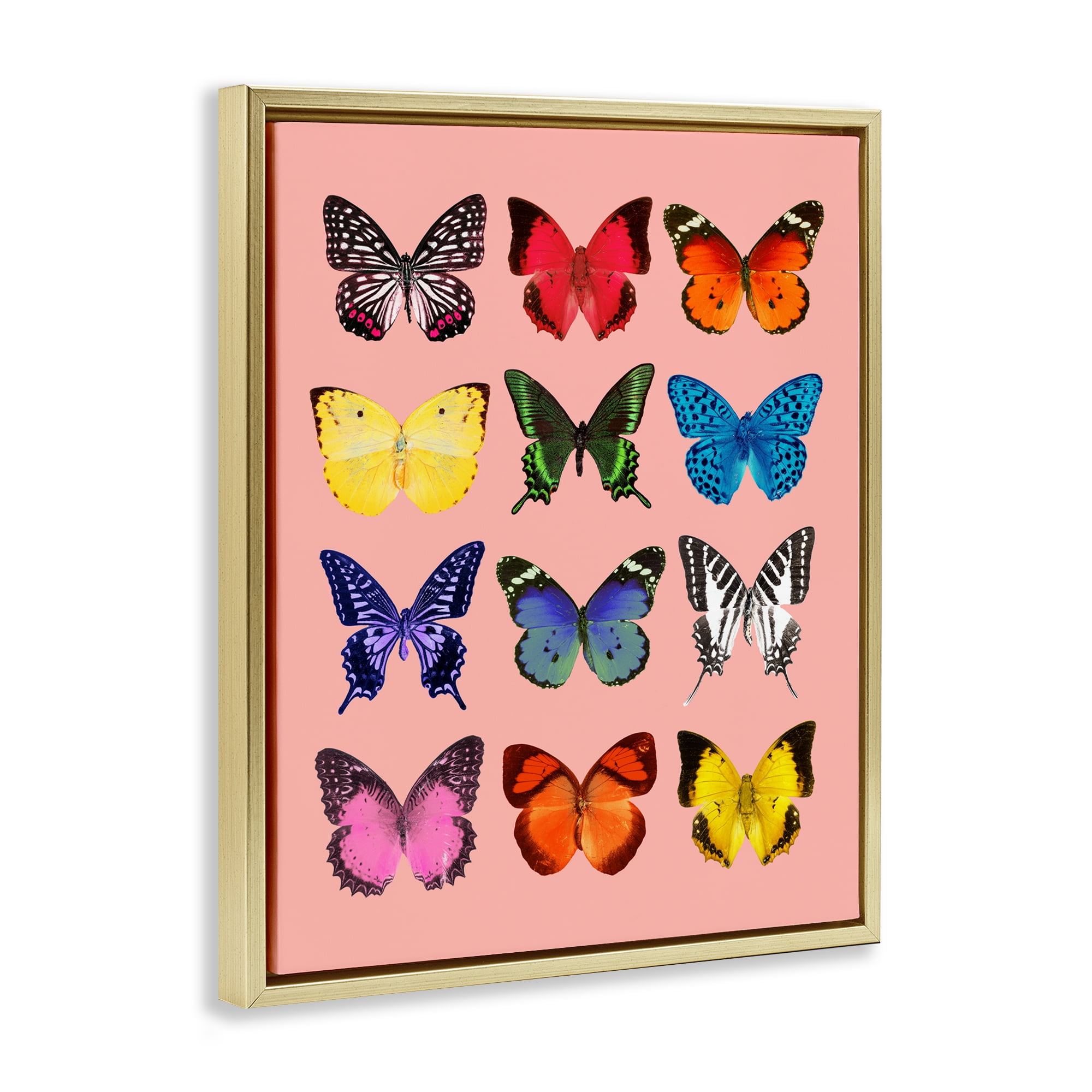 Butterfly Species on Pink Gold Framed Floater Canvas Wall Art, design by LISH Creative