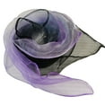 thumbnail image 1 of Women Chiffon Scarf Lightweight Gradient Mesh Shawl Scarf Summer Square Scarf, 1 of 10