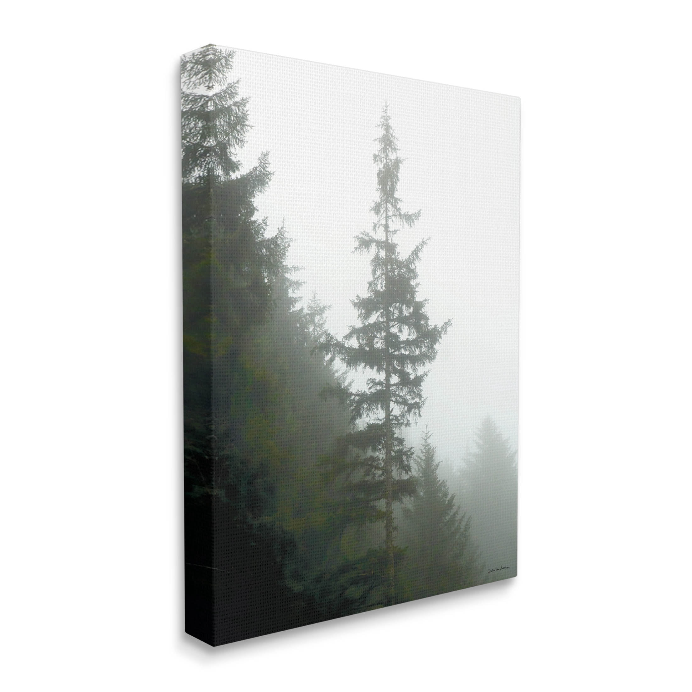 Stupell Industries Majestic Pine Foggy Forest Photograph Gallery Wrapped Canvas Print Wall Art, Design by Debra Van Swearingen