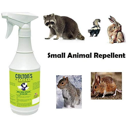 Small Squirrel - Colton's Naturals Small Animal Spray Repellent – All-Natural Defense Repeller for Mice, Rats, Squirrels, Rabbits, Raccoons, Skunks