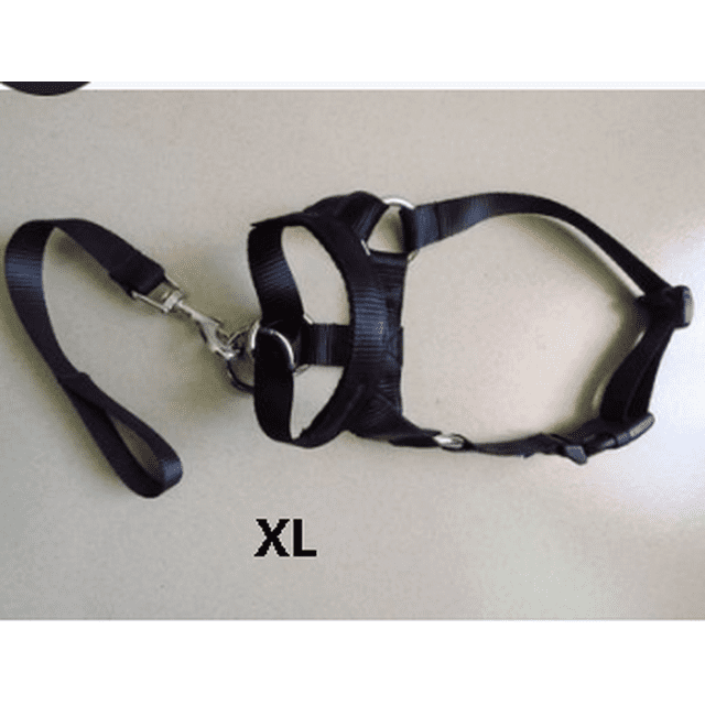 Faithtur Dogs Mouth Rope Gentle Halter Leash Leader Pet Mouth Traction Set Adjustable Head Collar Pet Accessories