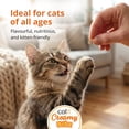 thumbnail image 4 of Catit Creamy Bitz Moist Cat Treats Variety Pack, 96 G, 4 of 13