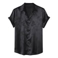 thumbnail image 2 of Einccm Mens Casual Vintage Button Down Shirt, Short Sleeve Lapel Collared Top for Summer Casual Beach Party Relaxed Fit Fashion Top, 2 of 3