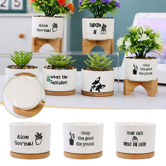 ufehgfjh Fun Novelty Planter Trio Ceramic Fleshy Flowerpot With Matching Drainage Trays Cute Desktop Bonsai Decorative Plant Pots For Succulents Home Table Shelf Display planter