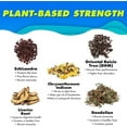 thumbnail image 4 of The Plug Cleanse Detox Drink, 96-Pack - All-Natural Plant-Based Electrolyte & Liquid Hydration Pack - Regain Key Nutrients Support Drink, 4 of 7