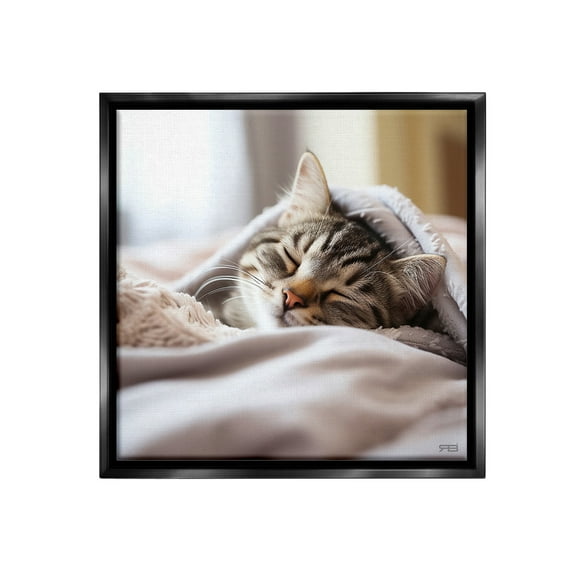 Stupell Industries Cozy Sleeping Kitten Animals & Insects Painting Black Floater Framed Canvas Art Print Wall Art, 18 x 18