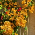 thumbnail image 2 of 3 Bougainvillea Plants, Gold Bougainvillea Bush from 4 Inches Tall, Bougainvillea Tree Live, Live Bougainvillea Vines Plants Rooted, Spring Flowering Planting for Outdoor Planting, 2 of 7