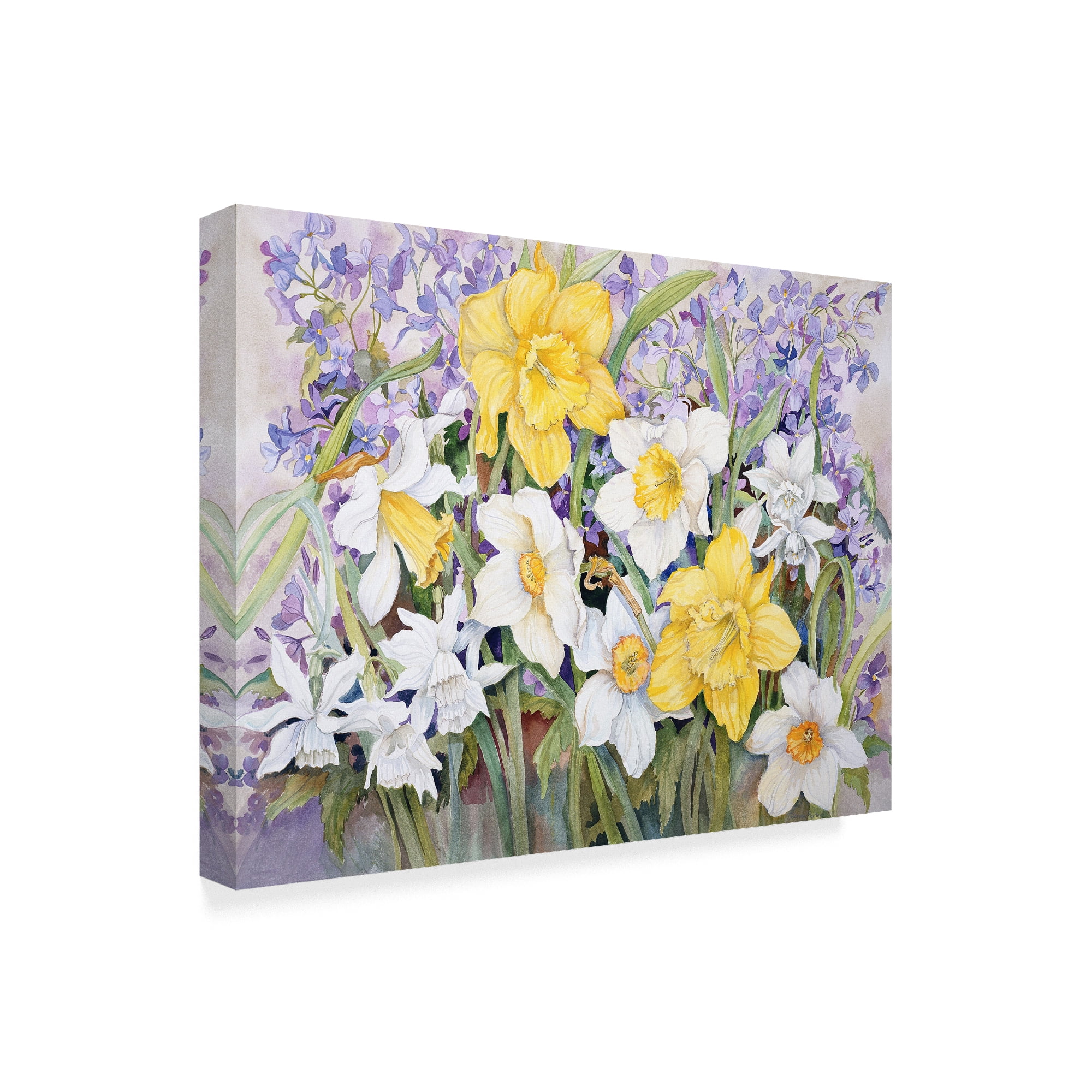 Trademark Fine Art 'Early Spring' Canvas Art by Joanne Porter