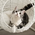 thumbnail image 3 of Sam's Pets Nala Hanging Egg Cat Condo White, 3 of 17