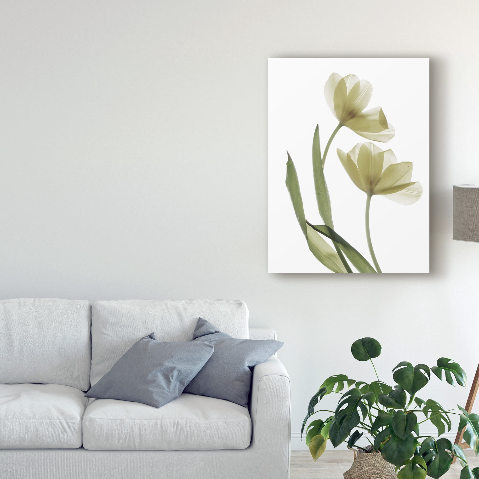 Trademark Fine Art 'Xray Tulip I' Canvas Art by Judy Stalus