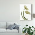 thumbnail image 3 of Trademark Fine Art 'Xray Tulip I' Canvas Art by Judy Stalus, 3 of 4