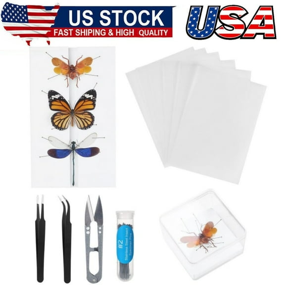Making Insect Specimen Tools Kit,Insect Pins,Pinning Board,Wings Pressing Paper