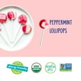 thumbnail image 5 of YumEarth Organic Candy Cane Pops, Peppermint, Gluten Free, Shelf-Stable, 30 Count Box, 5 of 7