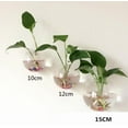 thumbnail image 2 of TheFound Wall-Mounted Glass Flower Pot Transparent Globe Shape Hanging Vase, 2 of 7