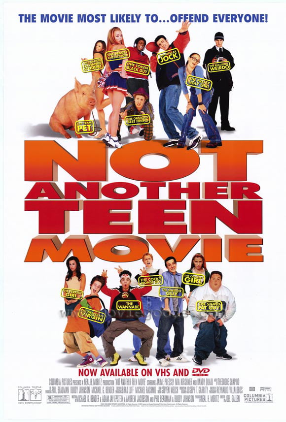 Not Another Teen Movie Original Single Sided Movie Poster 27x40 inches 
