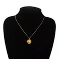 thumbnail image 5 of QQTDFG Adjustable Cute Daisy Flower Necklace Collar Neck Jewelry Sunflower Necklace-white, 5 of 9