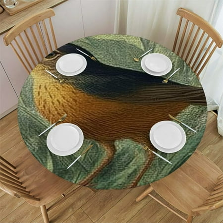 

Sheronv Bird Grass Illustration Round Table Cover Stain Resistant Washable for Indoor Outdoor Kitchen Dining Wedding Parties 100% Polyester Waterproof Home Decor 54 -58