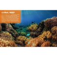 thumbnail image 5 of Discovery Real Life Sticker Book: Ocean, 5 of 5