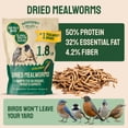 thumbnail image 2 of Gusanos de la harina secos Hatortempt 816 g, alimento para aves alto en proteína, 2 of 9