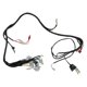 thumbnail image 2 of Arnes Electrico Italika Ws 150 Sport (Inducido 12 Bobinas)(22-25) 12V, 2 of 3