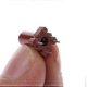 thumbnail image 5 of 20 Pcs Adjustable Inductor for Shell Skeleton Empty Ferrite Core No Inductor Coil, 5 of 5