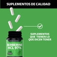 thumbnail image 4 of Berberina Hcl 97% | 500mg De Berberina Clorhidrato, Potenciado Con Piperina (pimienta Negra) Al 97% Y Raíz De Cúrcuma (curcumina, Curcuminoides) | Berberine - Vitaminas Mujer / Hombre -60 Cápsulas, 4 of 6