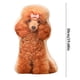 thumbnail image 2 of Almohada para mascotas Luckky: almohada con foto de mascota personalizada, almohada para mascotas 3D realista, almohada de peluche con forma de mascota, regalo para amantes de las mascotas, ideal, 2 of 8