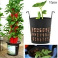thumbnail image 3 of Nikou Planting Basket, 10 Pcs Net Basket Hydroponic Aeroponic Planting Grow Pots Mesh Pot, 3 of 8