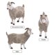 thumbnail image 5 of 1 modelo de animal salvaje simulado, oveja sólida y vívida, adorno de cabra de angora artificial, decoración de granja avícola para niños (gris claro), 5 of 6