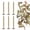 0.16"*1.18" Screw Only, variant on Self Drilling Drywall Anchors with Screws Kit - Heavy Duty Hollow Wall Anchors for TV Mount, Shelves & Furniture, No Drill Needed (0.16"*1.18" Screw Only)