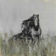 thumbnail image 2 of Parvez Taj Dark Horse at the Meadow Canvas Wall Art, 2 of 7