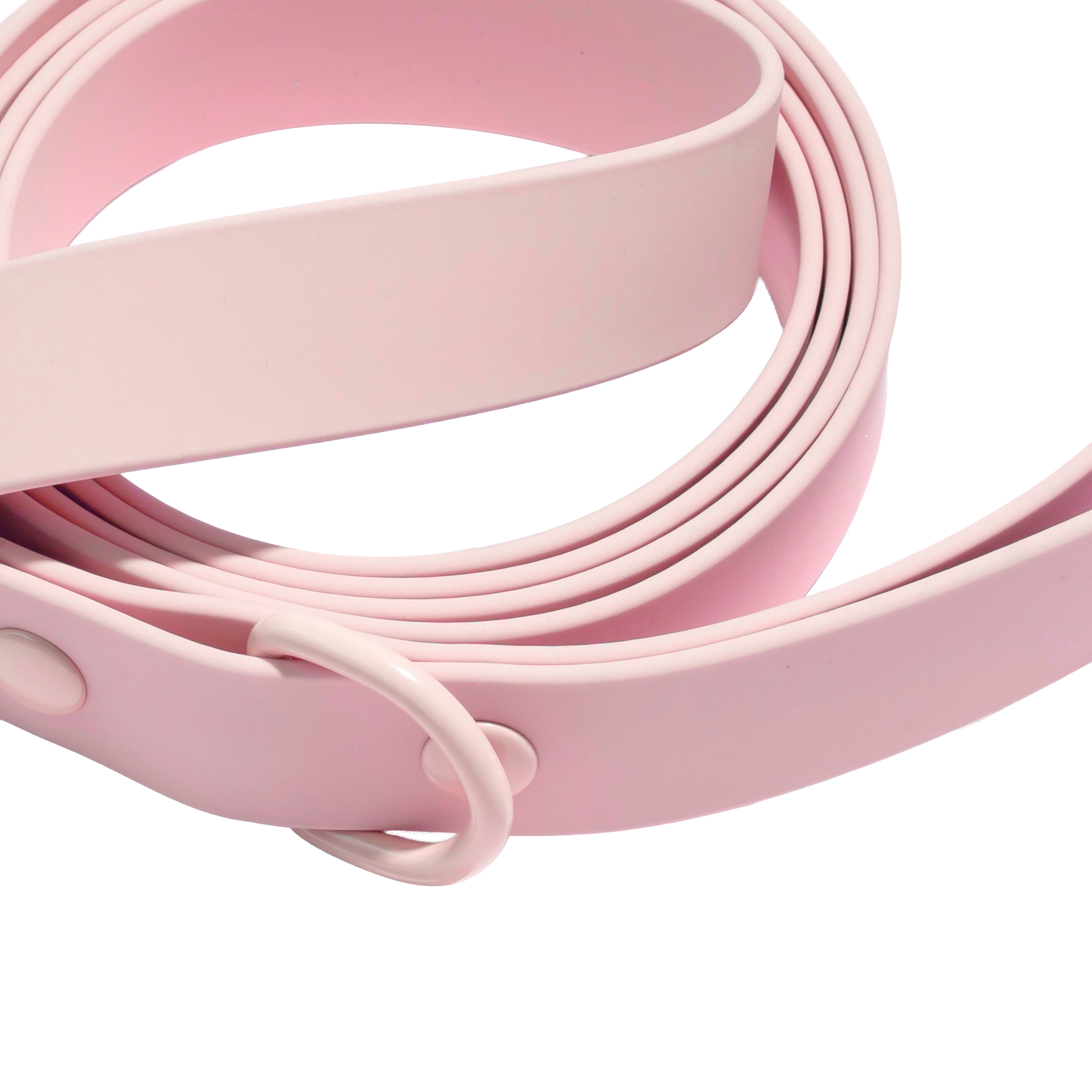 Vibrant Life 6' TPU Water Resistant Standard Dog Leash, Pink