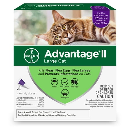 Advantage Ii Flea Treatment For Large Cats 4 Monthly Treatments