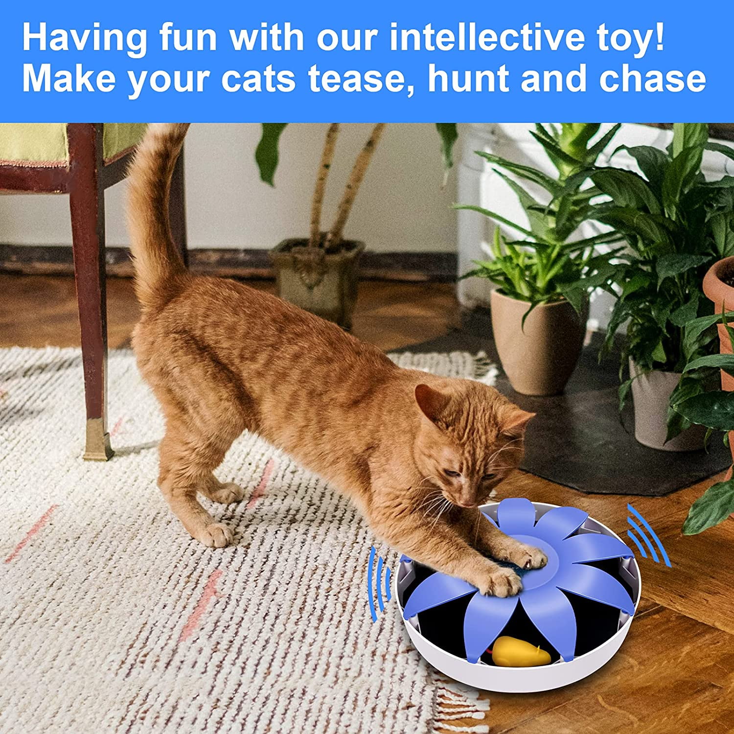 Pefilos 9" Interactive Cat Toy Mouse for Indoor Cats and Kitten, Uncatchable Spinning Mice,Hunting Chasing and Exercising,Cat Scratcher Track Roller Catnip Puzzle Toy, Blue Pefilos 9" Interactive Cat Toy Mouse for Indoor Cats and Kitten, Uncatchable Spinning Mice,Hunting Chasing and Exercising,Cat Scratcher Track Roller Catnip Puzzle Toy, Blue