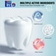 thumbnail image 4 of Salud y Belleza, Cuidado Personal, Pasta de Dientes, Pasta de Dientes, Eliminación de Manchas, Mejora Dientes Amarillos, Aliento Fresco, Mal Aliento, Probiótico, Dientes Blancos, Polvo Dental, Una pas, 4 of 9