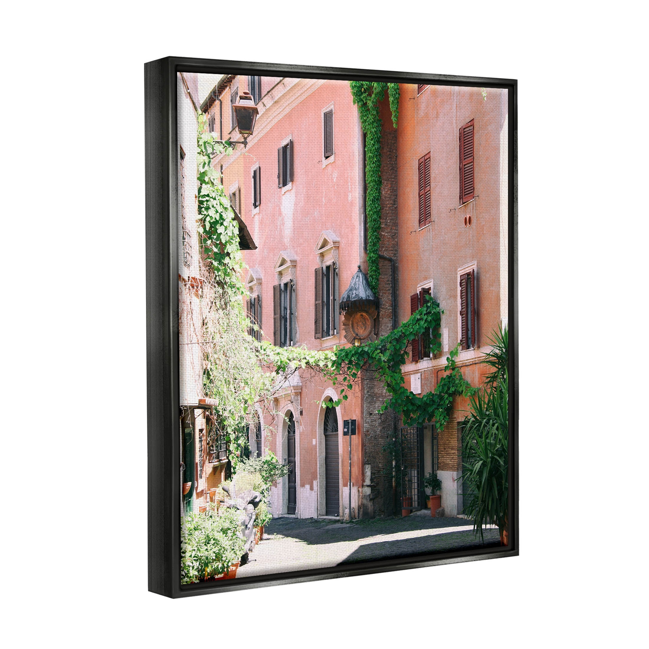 Neighborhood Ivy Vines Architecture Town & City Photograph Jet Black Framed Art Print Wall Art