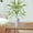 Green, variant on Gmogad Artificial Eucalyptus Branches - 36in Fake Greenery for Vase, Flower Arrangements - Realistic PVC, No Maintenance - Home, Wedding, Office, Bedroom Decor
