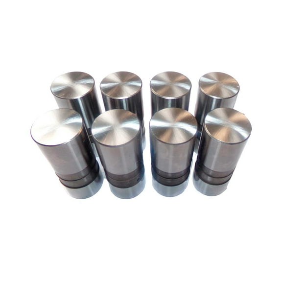 DNJ LFK83022 Valve Lifter Fits Cars & Trucks 87-93 Buick Chevrolet Oldsmobile 2.0L OHV 8V