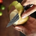 thumbnail image 6 of 3.5inch Stainless Steel Paring Knife for Kitchen Japanese Knife with Sheath High Carbon Steel Peering Knife Wooden Handle, 6 of 7