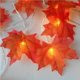 thumbnail image 3 of Tira De Luces Led De Hojas De Arce Para Halloween, Lámpara De Linterna Luminosa, Diseño De Barra De Fiesta En El Jardín, Tira Decorativa Methold HA024439-00, 3 of 6