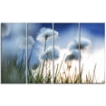 thumbnail image 2 of Beautiful Polar White Flowers - Floral Canvas Art Print, 2 of 3