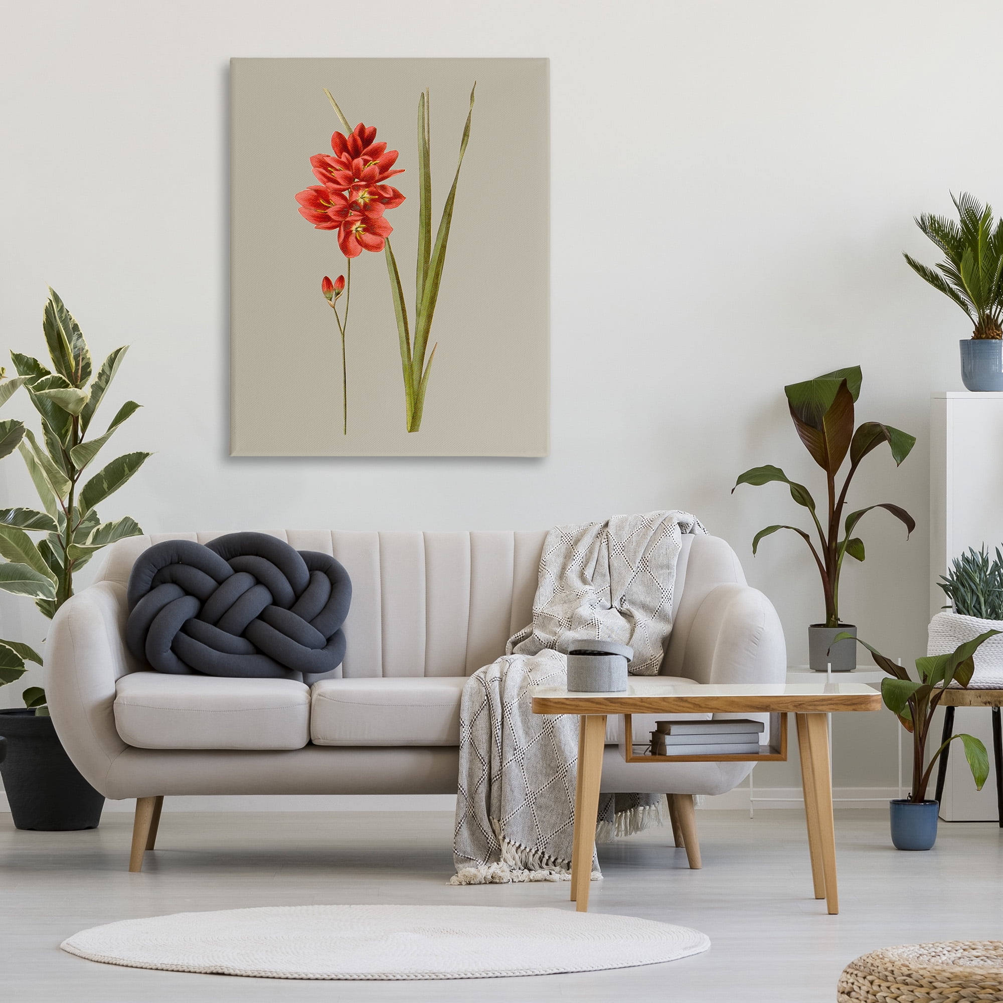 Stupell Industries Red Traditional Botanical Botanical & Floral Painting Gallery Wrapped Canvas Art Print Wall Art, 36 x 48
