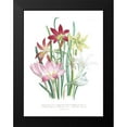 thumbnail image 2 of Loudon, Jane 12x14 Black Modern Framed Museum Art Print Titled - Lily Garden I, 2 of 5