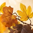 thumbnail image 3 of Maple Leaf Autumn Garland, Halloween Garland Fall Leaf Garland, 78.7 Inch Artificial Hanging Leaves For Mantle Table Decorations For Home Front Door Outdoor Indoor Thanksgiving Fall Autumn Decor, 3 of 7
