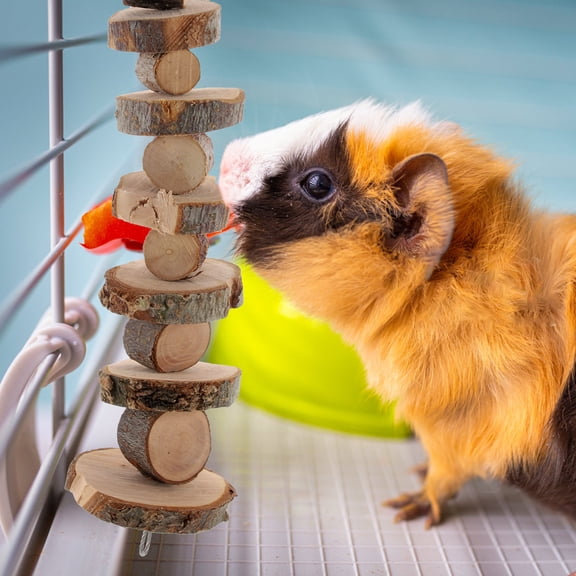 OUNONA Hanging Wood Slice Pet Toy for Hamsters - Indoor Teeth Grinding Chew Set for Small Animals