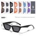 thumbnail image 5 of Gafas de Sol Polarizadas VANLINKER Estilo Ojo de Gato Pequeñas para Mujer, 5 of 5