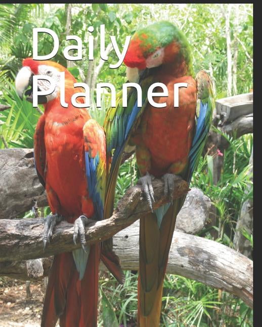 Beautiful view of Macaw Aviary Daily Routine Supplies